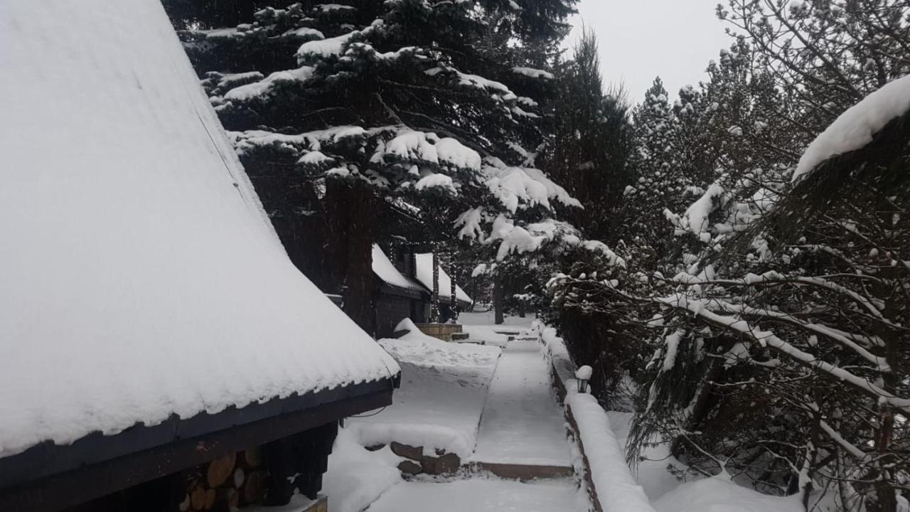Oliwne Wzgorza Villa Stronie Slaskie Exterior photo